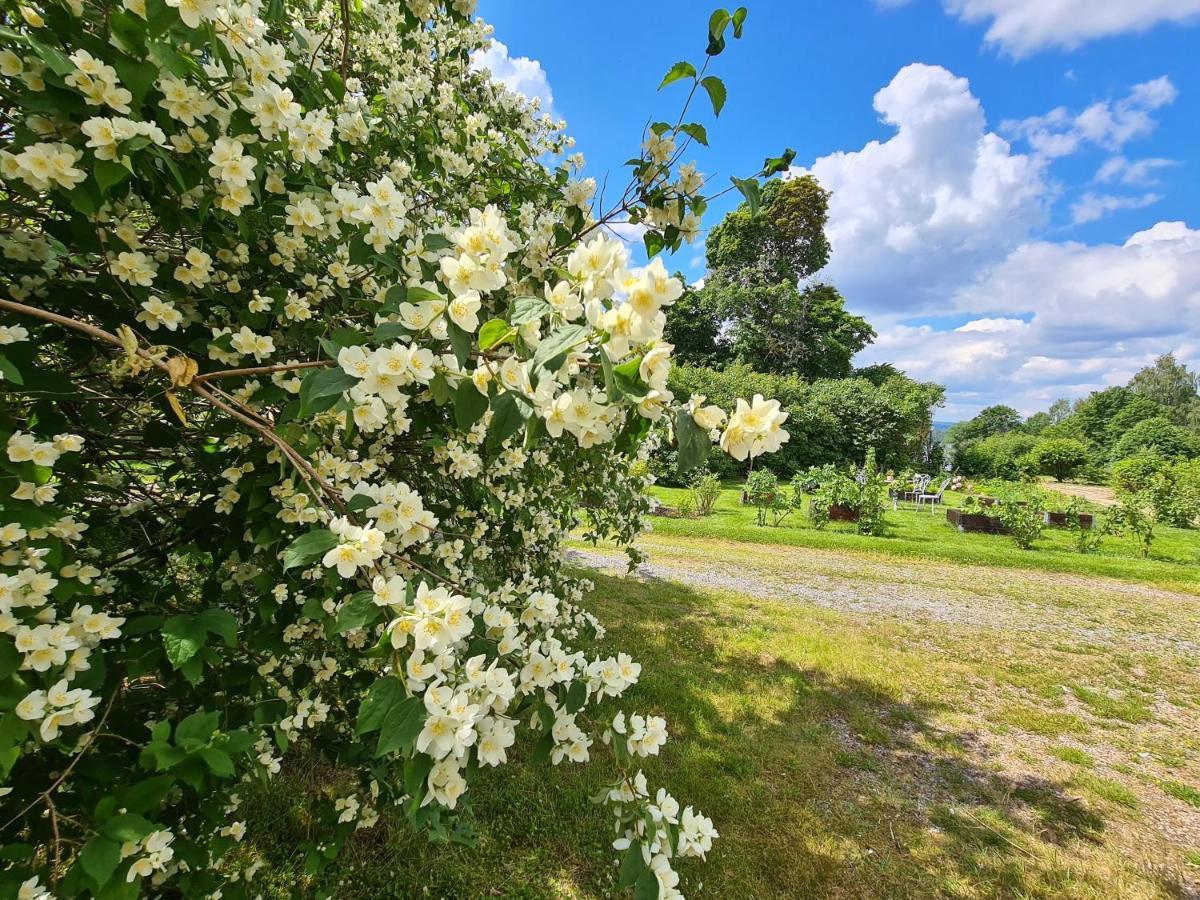Risberg Herrgard Hagfors Extérieur photo